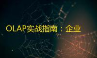 OLAP实战指南：企业级在线分析处理技术的深度解析与价值实现